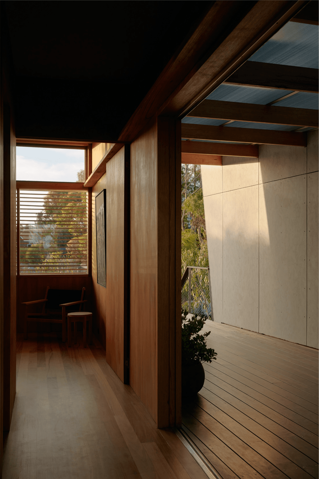 Hall of Eucalypt house