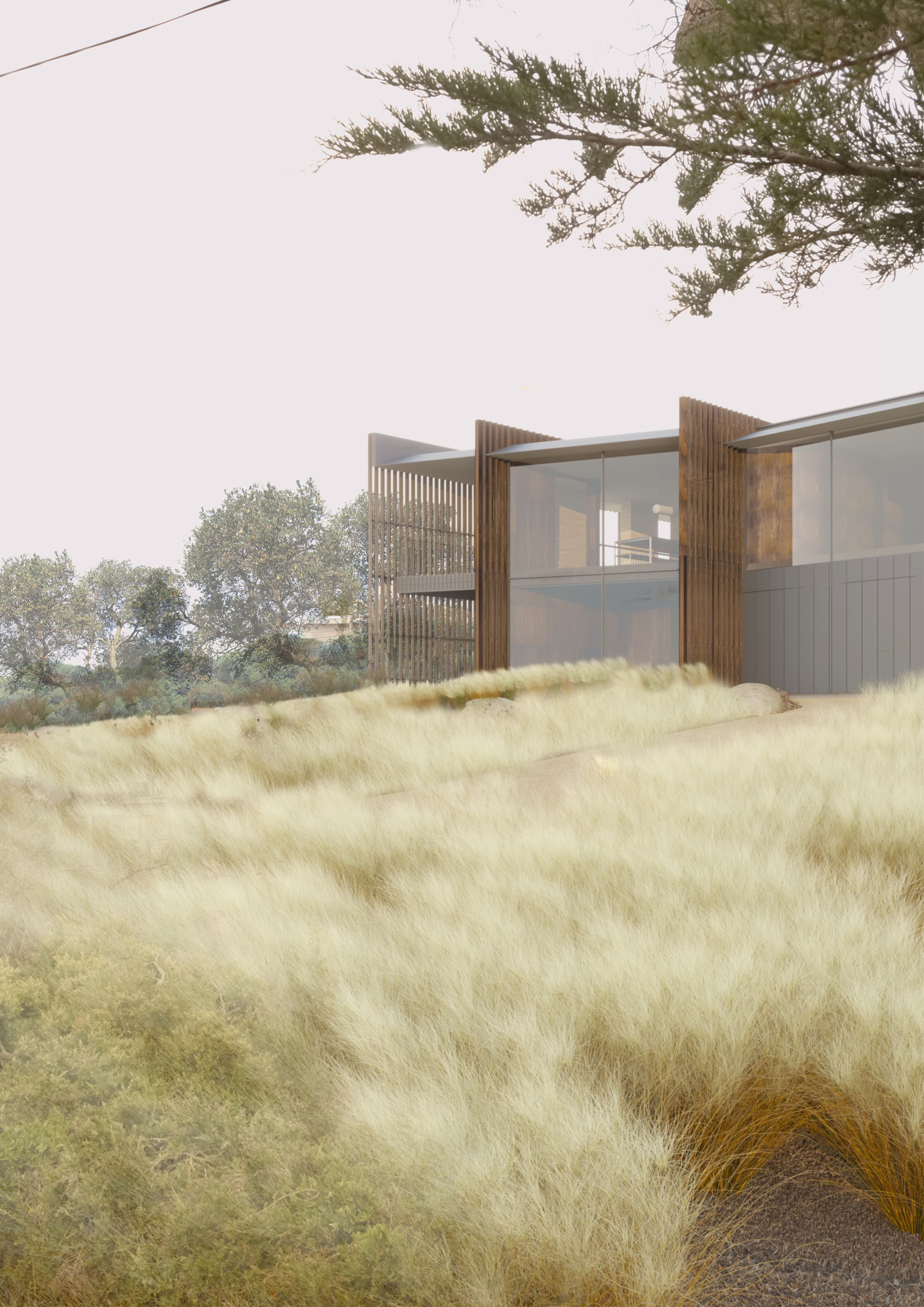 Tea Tree House