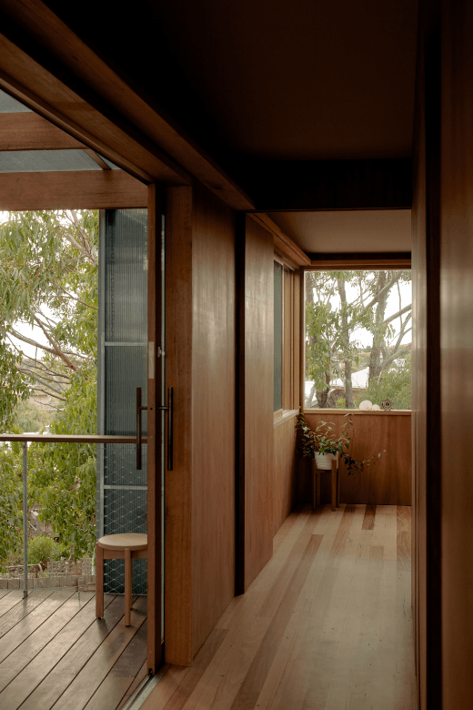 Eucalypt interior